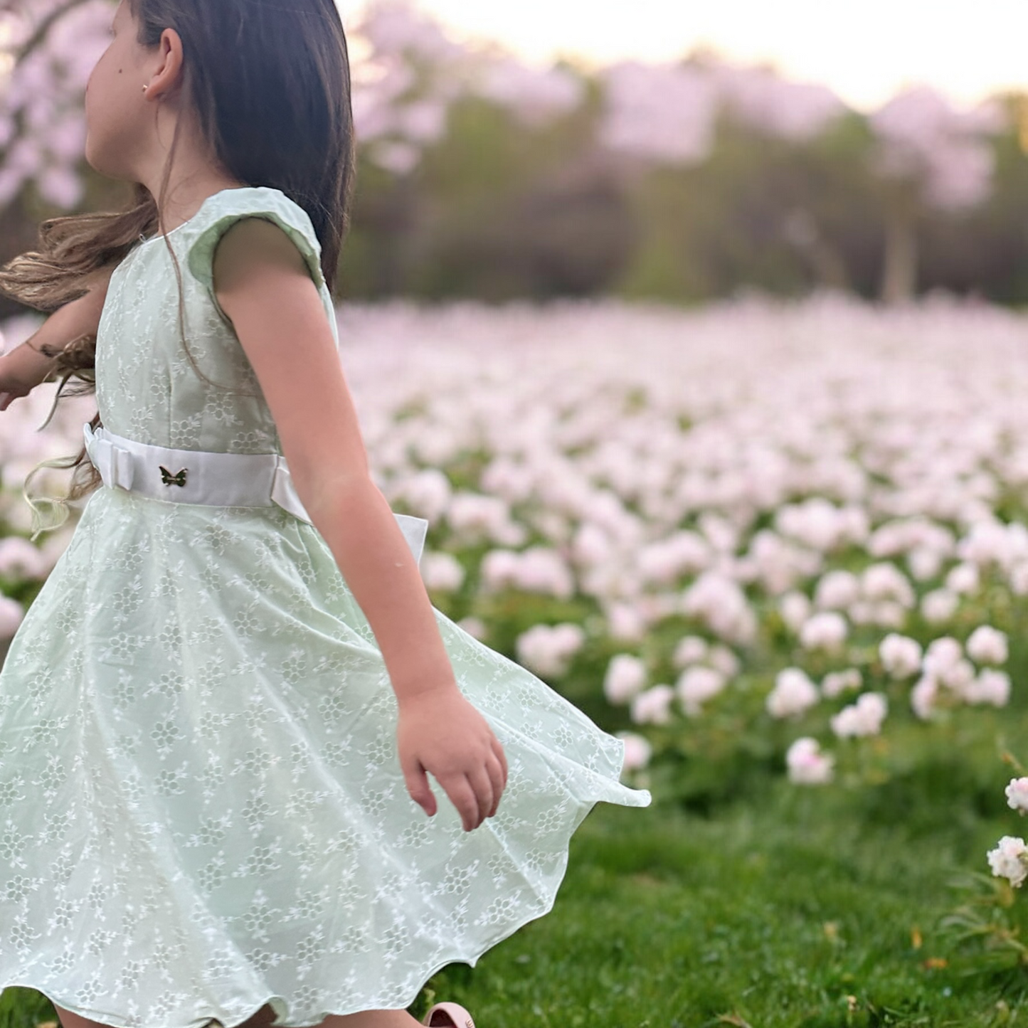 Embroidered bow, french style dress.